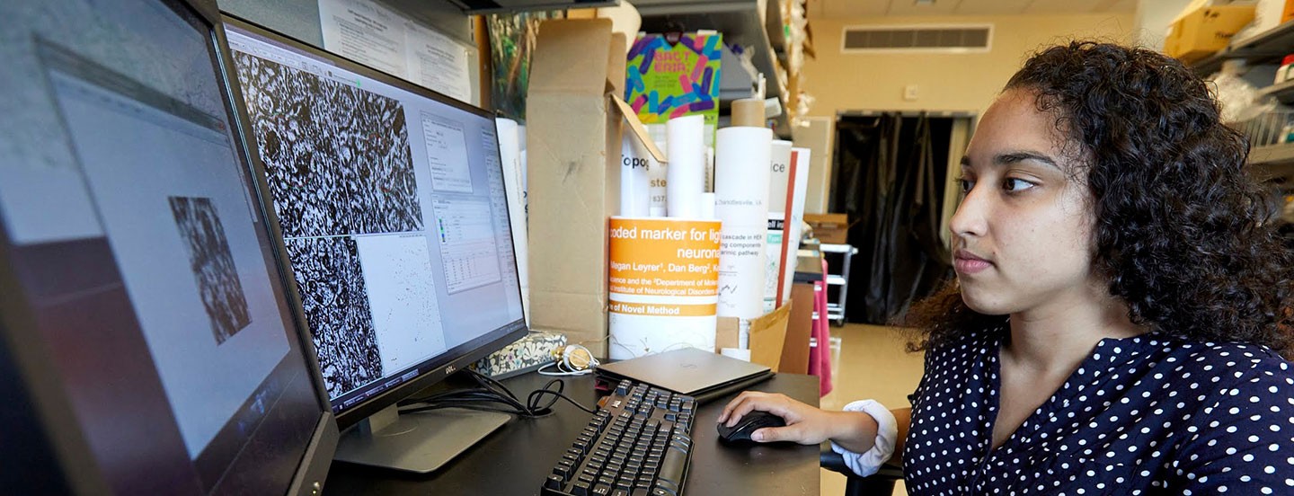 young student working at a pc with two screens