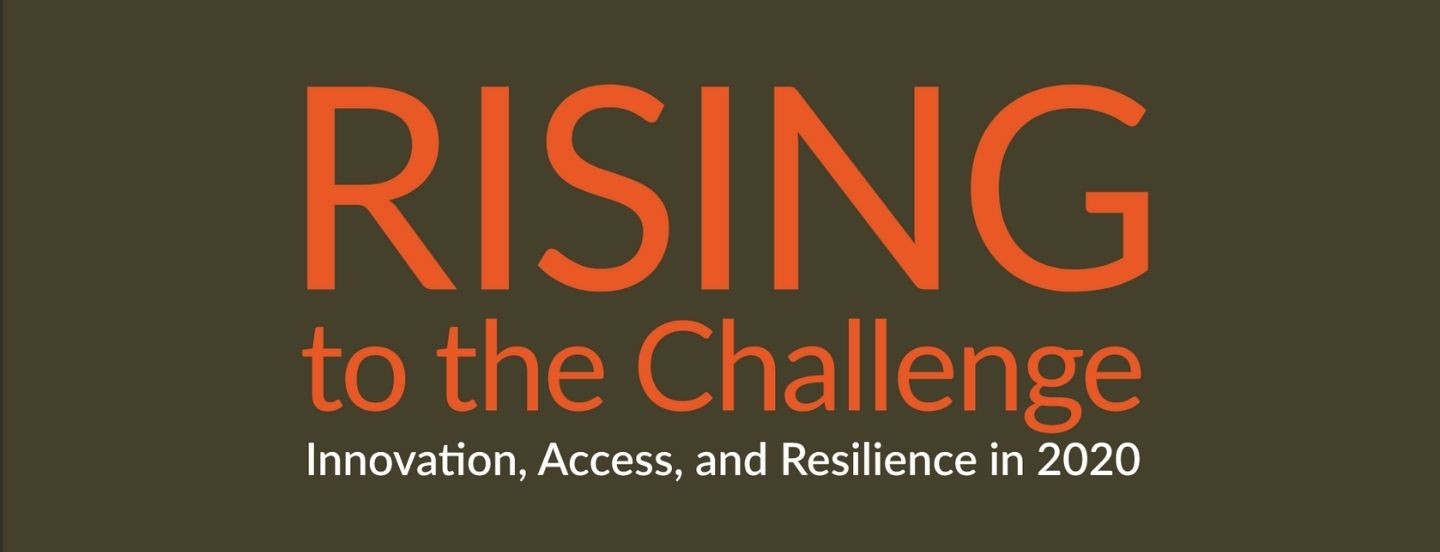 2020 annual report