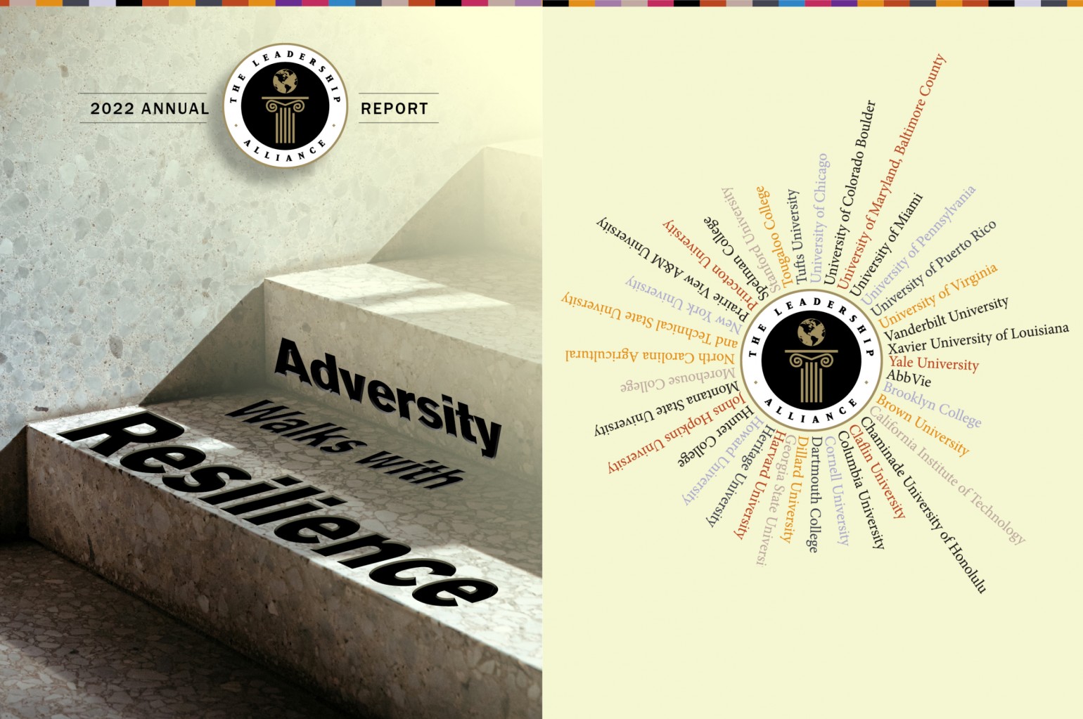 2022 annual report header