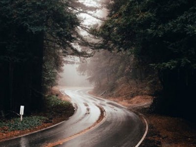 Road through forest in autumn